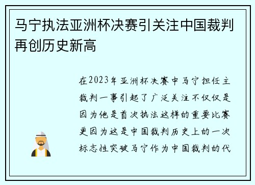 马宁执法亚洲杯决赛引关注中国裁判再创历史新高